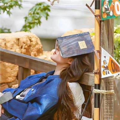 壳中少女 排气